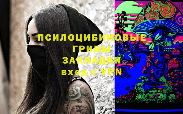 мяу мяу мука Арсеньев