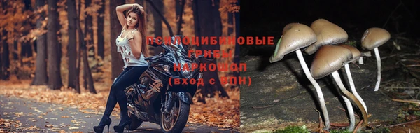 амфетамин Армянск